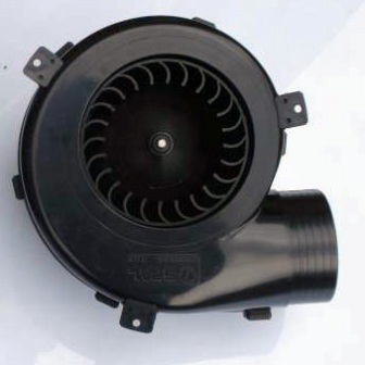 Blower motor